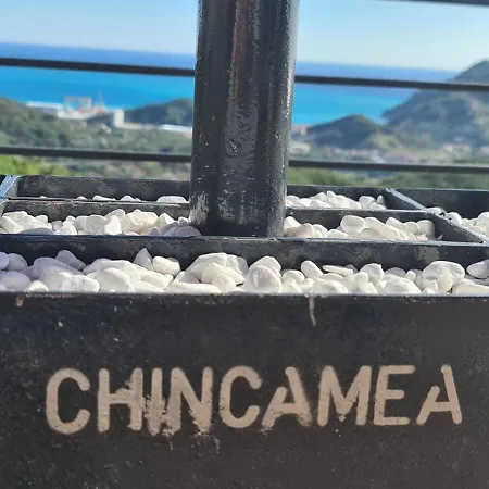 奇卡美亚住宿加早餐旅馆 *