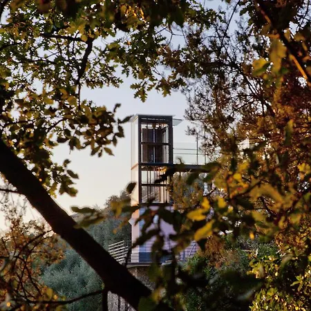 奇卡美亚住宿加早餐旅馆 度假居 卡萨察利古勒