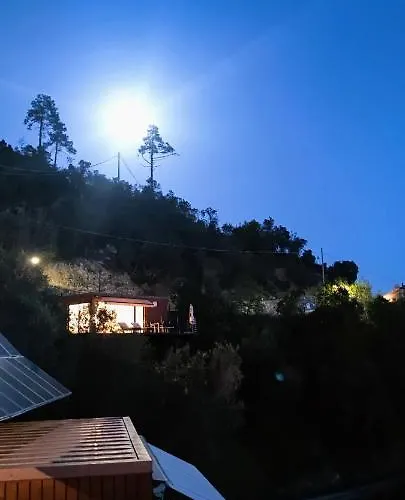 Chincamea Casarza Ligure