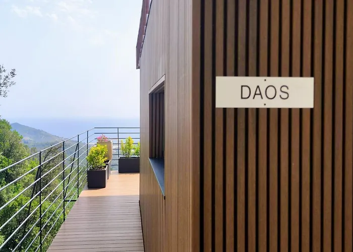 Chincamea * Casarza Ligure