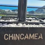 Chincamea *