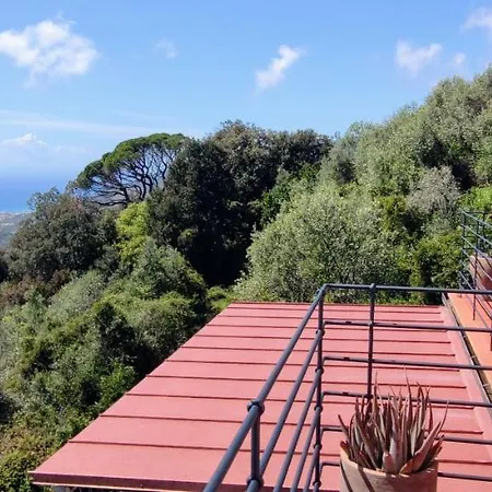 Chincamea Holiday home *