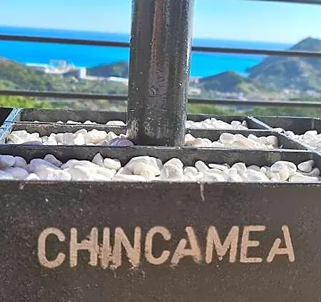 Chincamea 카사르자리구레