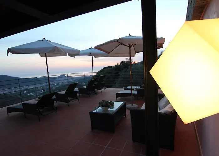 Chincamea * Казарца-Лигуре